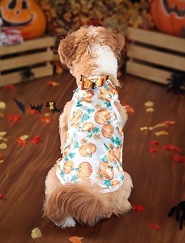  Hunde Halloweenkostüm Hunde-Kostüm Kürbis Kuschelig Weich Halloween Karneval Party Kleidungs-Outfits für Hundewelpen