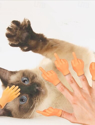  Interaktives Spielzeug mit haustierfreundlich Haustiertraining für Hunde Katzen Innen Draussen Haustier spielen