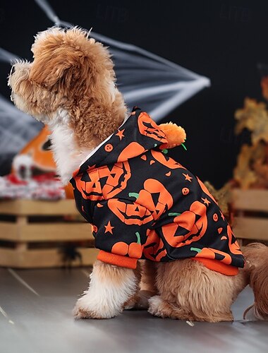  Hunde Halloweenkostüm Hunde-Kostüm Kürbis Kuschelig Weich Halloween Karneval Party Kleidungs-Outfits für Hundewelpen