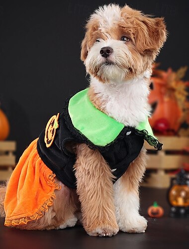 Hunde Halloweenkostüm Hunde-Kostüm Kürbis Kuschelig Warm Halloween Karneval Party Kleidungs-Outfits für Hundewelpen