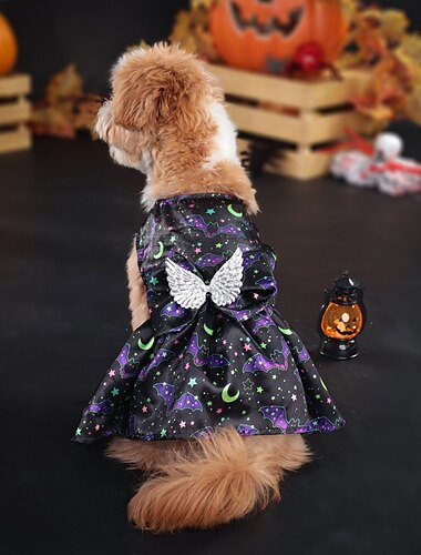  Hunde Halloweenkostüm Hunde-Kostüm Einer Kürbis Kuschelig Weich Halloween Karneval Party Kleidungs-Outfits für Hundewelpen