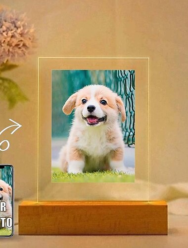  Lámpara de foto de mascota personalizada, luz de noche acrílica con foto personalizada, alimentada por USB, color blanco cálido, agregue su imagen, ideal para los amantes de las mascotas,