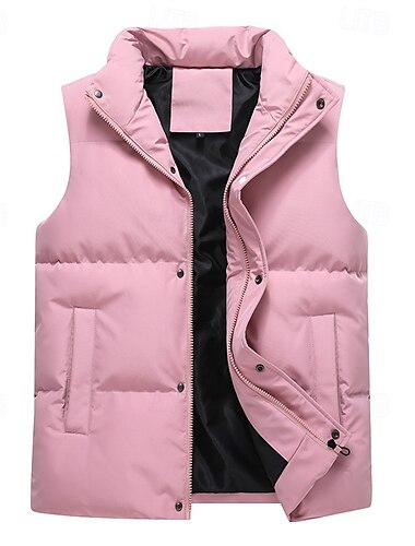  Herren Steppweste Täglich Lässig Herbst Winter Tasche Polyester Bequem Einfach Reisverschluss Stehkragen Schwarz Rosa Blau Khaki Weste