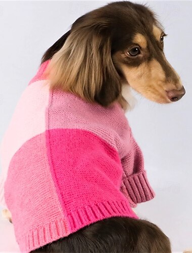  Perros Suéteres Saltador Moda Invierno Templado Moda Cómodo Exterior Uso Diario Ropa de casa Ropa para perros for Small Medio Grande