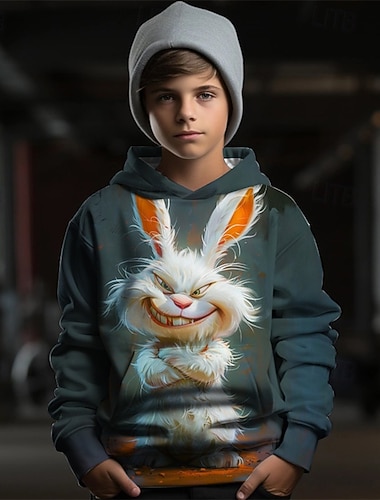  Da ragazzo 3D Pop art Animali Coniglietto Felpa con cappuccio Manica lunga Primavera Autunno Di tendenza Streetwear Bambino 4-12 anni Con cappuccio Esterno Informale Giornaliero Standard