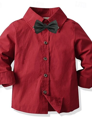  Barn Pojkar Skjortor Ensfärgat Långärmad Lappverk Utomhus Mode Ljusgrön Vår & Höst Kläder 3-7 år