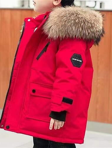  Kinderen Uniseks Dons Hoodie jas bovenkleding Effen Kleur Lange mouw Zak jas Buiten Dagelijks Basic Zwart Wit Rood Herfst Winter 4 jaar +
