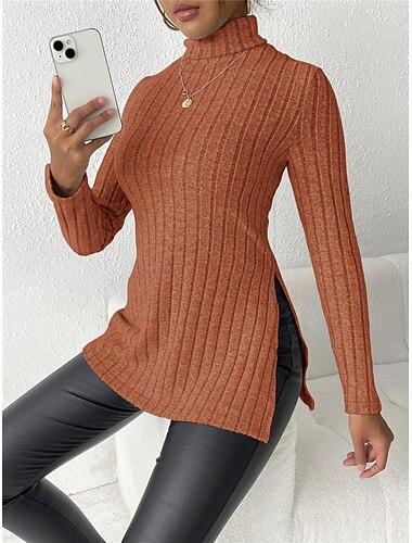  Damen Tunika T Shirt Glatt Modisch Modern Brautkleider schlicht Langarm Rollkragen Normale Oberteile Täglich Wochenende Himmelblau Fuchsie Braun Grau Herbst Winter