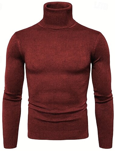  Herren Pullover Strickpullover Rollkragenpullover für Herren Gerippt Stricken Standard Strick Glatt Rollkragen Modisch Brautkleider schlicht Freizeitskleidung Verabredung Bekleidung Herbst Winter