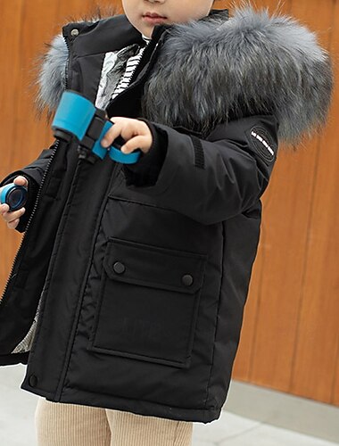  kinderkleidung Jungen Daune Hoodie Jacke Oberbekleidung Feste Farbe Langarm Tasche Mantel Outdoor Täglich Basic Schwarz Rote Grün Herbst Winter 4 Jahre +