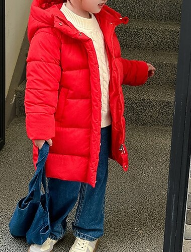  Barn Gutt Dun Hettegenser Yttertøy Helfarge Langermet Lomme Frakk utendørs Daglig Grunnleggende Svart Rød Blå Høst Vinter 4 år +