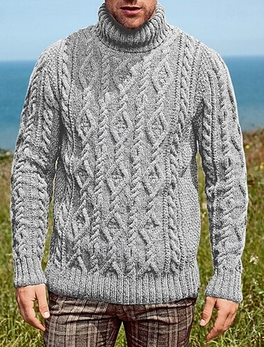  Homme Pull Pull en tricot Pull à col roulé pour homme A côtes torsadé Tricoter Normal Tricoté Plein Col Roulé Mode basique Usage quotidien Rendez-vous Vêtement Tenue Automne hiver Vert Véronèse Bleu