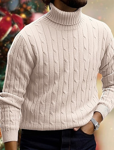  Herren Rollkragenpulli Pullover Zur Seite fahren Gerippt Gedrehtes Stricken Strick Glatt Rollkragen warm halten Moderne zeitgenössische Freizeitskleidung Ausgehen Bekleidung Herbst Winter Schwarz Weiß