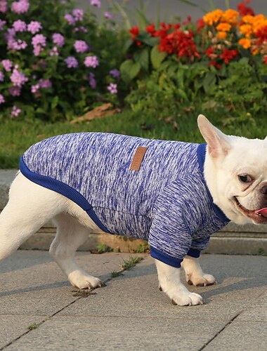  Hund Katze Sweatshirt Overall Freizeit Lässig / Sportlich Warm Weich Waschbar Mode Bequem Neujahr Erntedankfest Internationales Bierfest Outdoor Urlaub Neujahr Alltagskleidung Sport im Freien