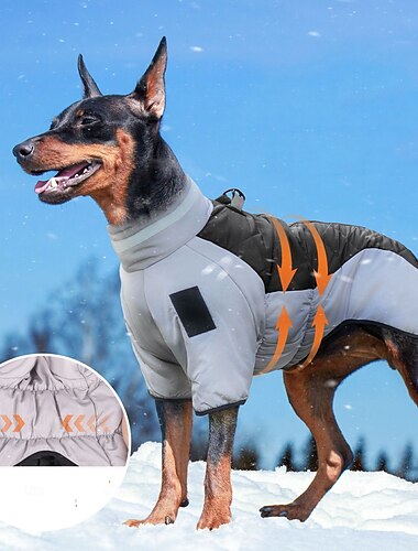  Psi Kabáty Kurtka Puffer Jack Zima Reflexní Voděodolný Teplý Venkovní Vevnitř Domácí oblečení Velký