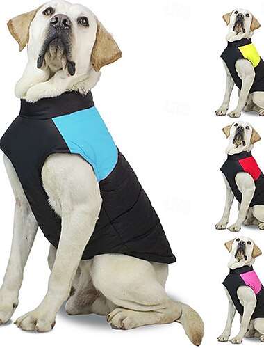  Cane Cappotto Giacca Jack palla Inverno Impermeabile Caldo Confortevole All'aperto Interno Abbigliamento da Casa Medio