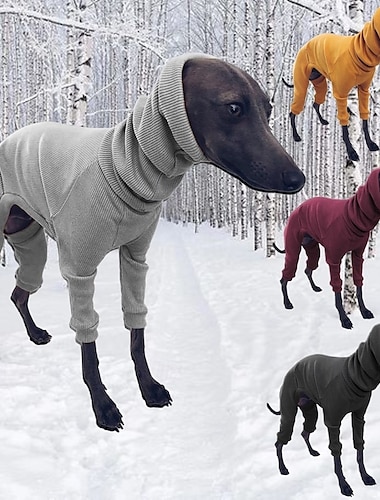  Hund Tröja Jumpsuits Mode Stylish Vanlig Japansk och Koreansk Stil Klassisk Stil Vår Höst Vinter Varm Mode Utomhus Utomhussport Inomhus Ledigt / vardag for Vinthund