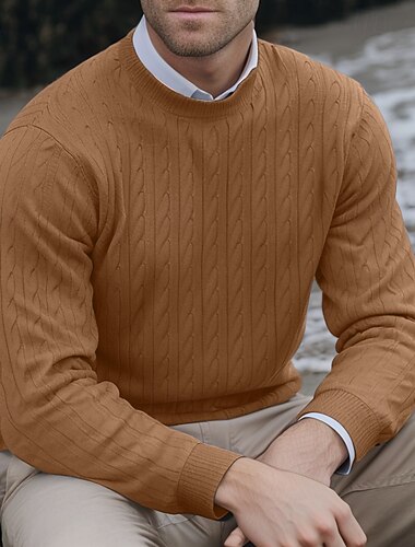  Homme Pull Chandail Pull Pull en maille torsadée torsadé Tricoter Normal Style classique Tricoté Couleur unie Col Rond Moderne contemporain Travail Usage quotidien Vêtement Tenue Automne Hiver Noir