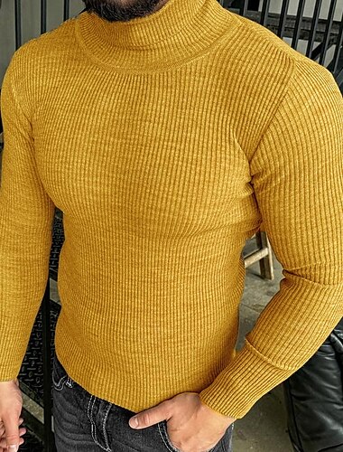  Herren Rollkragenpulli Pullover Gerippt Stricken Normale Oberteile Strick Schmaler Schnitt Glatt Rollkragen Moderne zeitgenössische Arbeit Freizeitskleidung Bekleidung Winter Frühling & Herbst