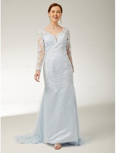  Meerjungfrau/Trompete Strandhochzeit Mutter der Braut Kleid elegant V-Ausschnitt Sweep/Pinselschleppe Spitze Tüll lange Ärmel mit Applikationen 2025