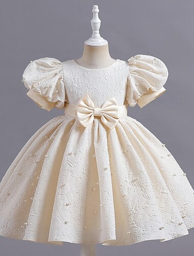  Blumenmädchenkleid Kinder Mädchen Prinzessinenkleid Leistung Hochzeit Party Elegant Schön Feste Farbe Kurzarm Rundhalsausschnitt Champagner Rosa 4 Jahre +