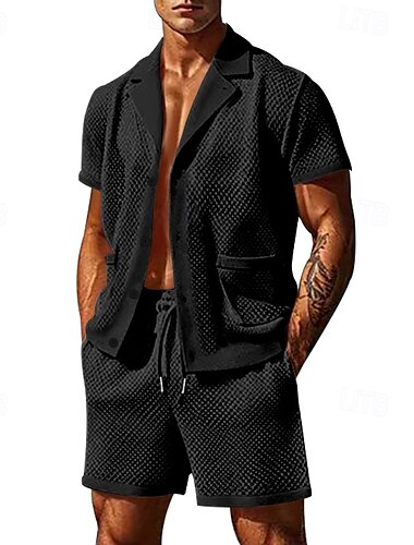 Herren 2 Stück Hemden-Set Sommer-Set Passende Sets Lässiges Hemd Knopfhemd Glatt Urlaub Täglich Schwarz Weiß Königliches Blau Grün Kurzarm Kragen Sommer Bekleidung