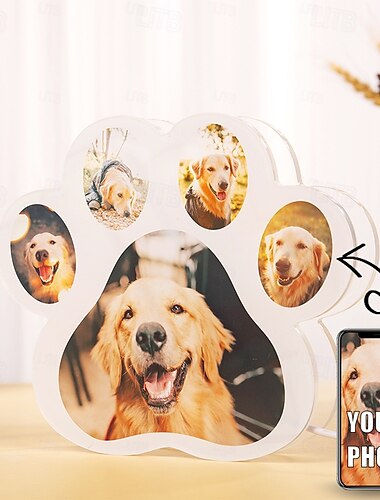  Luz de noche acrílica personalizada para mascotas con ranura para fotos dedicada para su mascota: luz de noche ideal personalizada para la mesita de noche y decoración de la habitación, 1 pieza