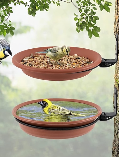  mangeoire à oiseaux montée sur un arbre, bain d'oiseaux installé sur un mur de clôture en bois, piquets de terrasse d'arbre avec anneau en fer robuste, arbres, terrasse, murs intérieurs et extérieurs