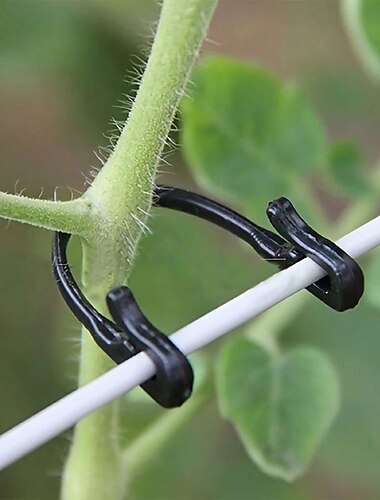  50 stuks zwarte plastic clips zijn ontworpen om planten zoals tomaten en druivenranken te ondersteunen en dienen als bevestigingsmiddelen voor tuingaas dat wordt gebruikt in landbouwkooien en trellis