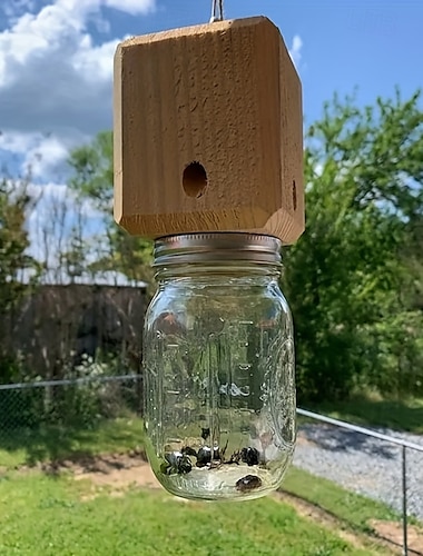  1 stuk premium natuurlijke houten timmermansbijenval - buiten hangend, doosvormig insectenval