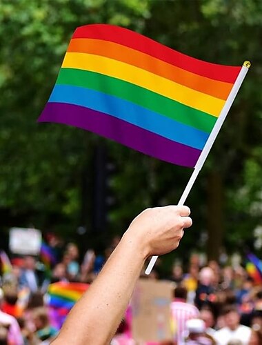  Juin Mois de la Fierté Drapeau de Fierté Arc-en-ciel Décorations Tenues à la Main Petits LGBTQ Gay Lesbienne Bisexuel Pansexuel Transgenre Joyeuse Fête