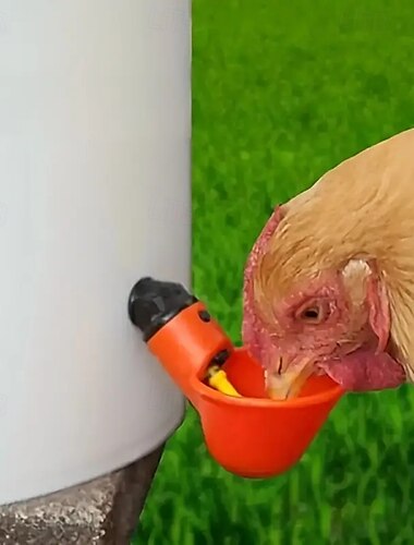  10 stücke huhn trinken schüssel automatische füllung wasser spender geflügel trinken schüssel huhn wasser feeder ente türkei kaninchen gans wasser spender