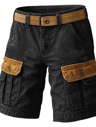  Voor heren Cargoshorts Korte broek korte broek Casual korte broek Wandelshorts Meerdere zakken Recht been Kleurenblok Effen Vochtregelerend Draagbaar Knielengte Buiten Casual Dagelijks Modieus