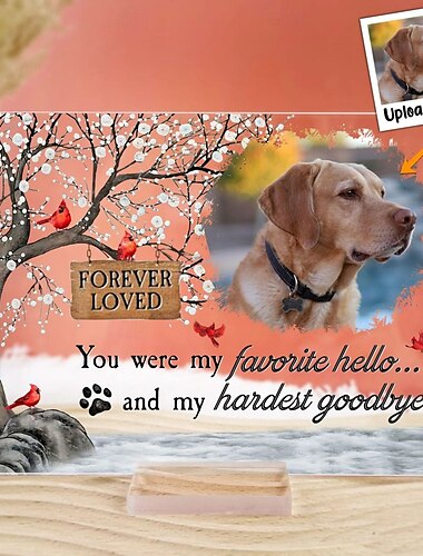  Personalisierte Gedenktafel aus Acryl mit Foto, individuelles Haustierfoto, Beileidsgeschenk für den Verlust eines geliebten Menschen, Hunde-Gedenkdekor für Zuhause, Schlafzimmerdekor, Tribut an den geliebten Welpen, du warst mein Liebling, hallo und mein