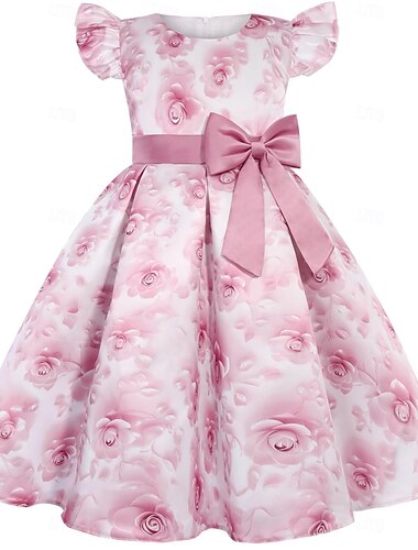 Kinderen Voor meisjes Feestjurk Effen Kleur Grafisch Mouwloos Prestatie Speciale gelegenheden  Prinses Zoet Polyester Feestjurk Zomer Lente Kinderen Blozend Roze blauw Bruin   Kinderen Voor meisjes Feestjurk Effen Kleur Grafisch Mouwloos Prestatie Speciale gelegenheden  Prinses Zoet Polyester Feestjurk Zomer Lente Kinderen Blozend Roze blauw Bruin