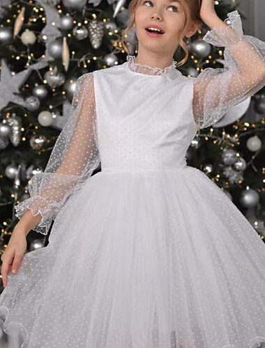  Bambini Ragazze Vestito da Festa Tinta unica Manica Lunga Performance Rete Principessa Dolce Rete Metà polpaccio Tubino Vestito in Tulle Estate Primavera Autunno Bambini Bianco