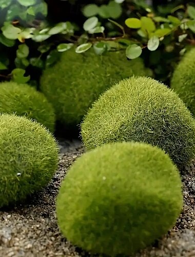  10 kunstmatige mosballen van kunsthars, microgroen gras, microlandschap, geschikt voor doe-het-zelf sprookjestuinen, aquaria en buitendecoratie