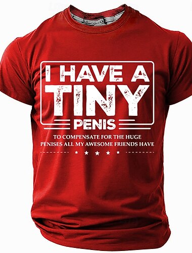  חולצת טי גברים יש לי פין קטן הומור למבוגרים