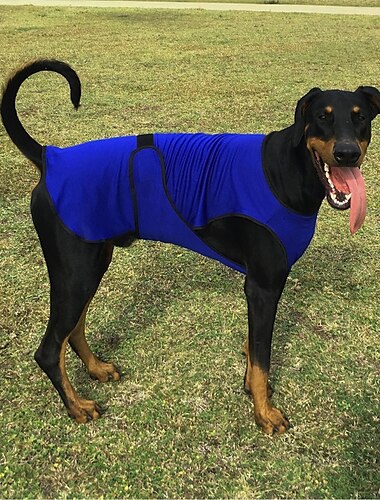  Hunde-Shirts, schnelltrocknende, weiche, dehnbare Haustier-T-Shirts mit reflektierendem Etikett, Tanktop, ärmellose Weste, Sonnenschutz, Hundekleidung für mittelgroße und große Hunde