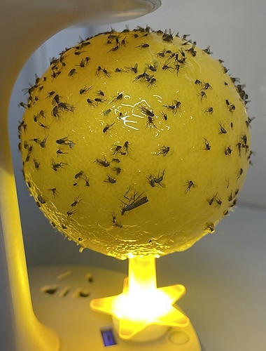  2 trampas para moscas de la fruta con luz nocturna LED, bola adhesiva para atrapar insectos voladores, trampa para mosquitos con sabor a fruta para cocina y hogar, ideal para interiores y exteriores.