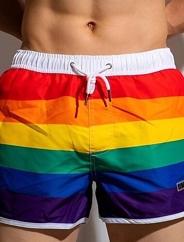  Regenbogen Stolz Shorts Boardshorts Sexy Regenbogen gestreift Herren Erwachsene Strand Pride Parade Pride-Monat Karneval Einfaches Karnevalskostüm