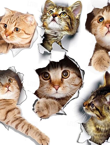  6PCS 3D Wall Stickers Cats Self Adhesive Wall Decals/Removable Vinyl Art Murals for Living Room Bedroom Toilet House Wall DIY Decoration