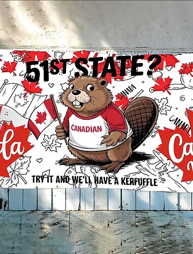  Canada Day utendørs innendørs med maljer patriotisk flagg o Canada hushage hagedekorasjoner feriebannerskilt Canada ikke til salgs
