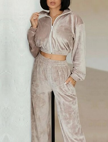  Women's Tracksuit Track Top Athleisure Fall Long Sleeve Velour Thermal Warm Windproof Running Workout Athleisure Sportswear Activewear Solid Colored Dark Grey Violet Black
