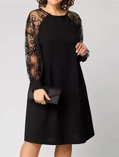  Femmes Mini Robe Robe en Dentelle Robe Décontractée Élégant Mode Extérieur Fête Date Coupe régulière Uni manche longue Col ras du cou Noir Printemps Automne
