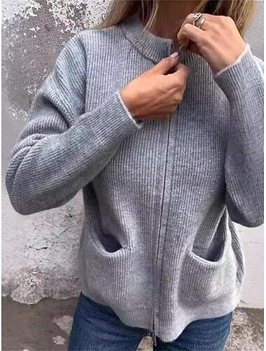  Γυναικεία Casual Jacket Άνετο Αναπνέει Φερμουάρ Τσέπη Καθημερινό Σκέτο Διακοπές Δρόμος Causal Καθημερινά Ρούχα Φερμουάρ Κανονικό Όρθιος Γιακάς Κανονικό Μακρυμάνικο Εξωτερικά ενδύματα