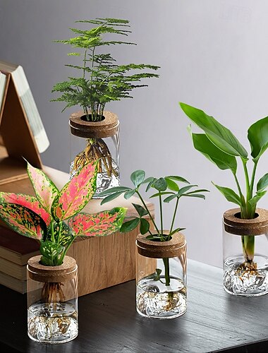  Plante hydroponique dans un vase en verre, petite plante verte décorative pour bureau, mini bouteille de bonsaï en pot, micro paysage pour la décoration intérieure