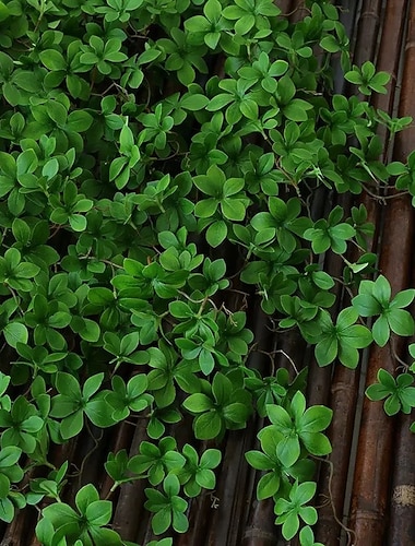  Pianta artificiale sospesa da 90 cm (35,4 pollici), finte piante rampicanti, ghirlanda di foglie di plastica per decorazioni domestiche, pianta rampicante finta per coprire tubi, decorazione del