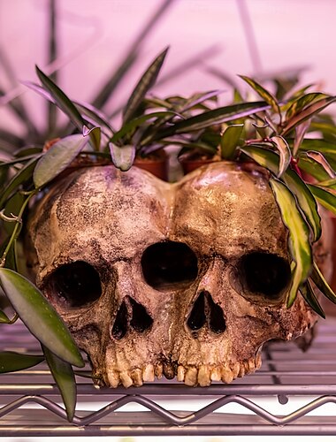  1 supercoole Totenkopf-Blumentopf-Dekoration für Halloween und den Tag der Toten – Tisch- und Ornament-Dekoration für drinnen und draußen mit Horror-Atmosphäre