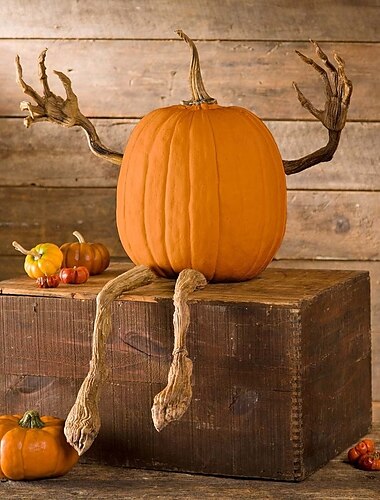  Set mit 4 biegsamen Kürbisarmen und -beinen für skurrile Halloween-Dekorationen im gruseligen Rankendesign für draußen, inklusive 2 Armen und 2 Beinen